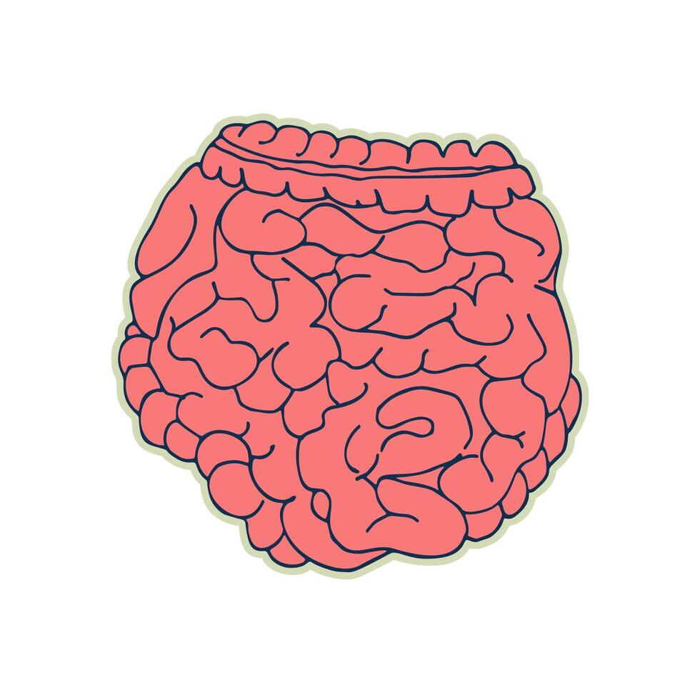 etichetta di umano intestini. Vintage ▾ anatomia scarabocchio linea schizzo organo isolato su bianca sfondo. bene idea design retrò medicina manifesto nel mano disegnato stile. anatomico corpo parte vettore illustrazione