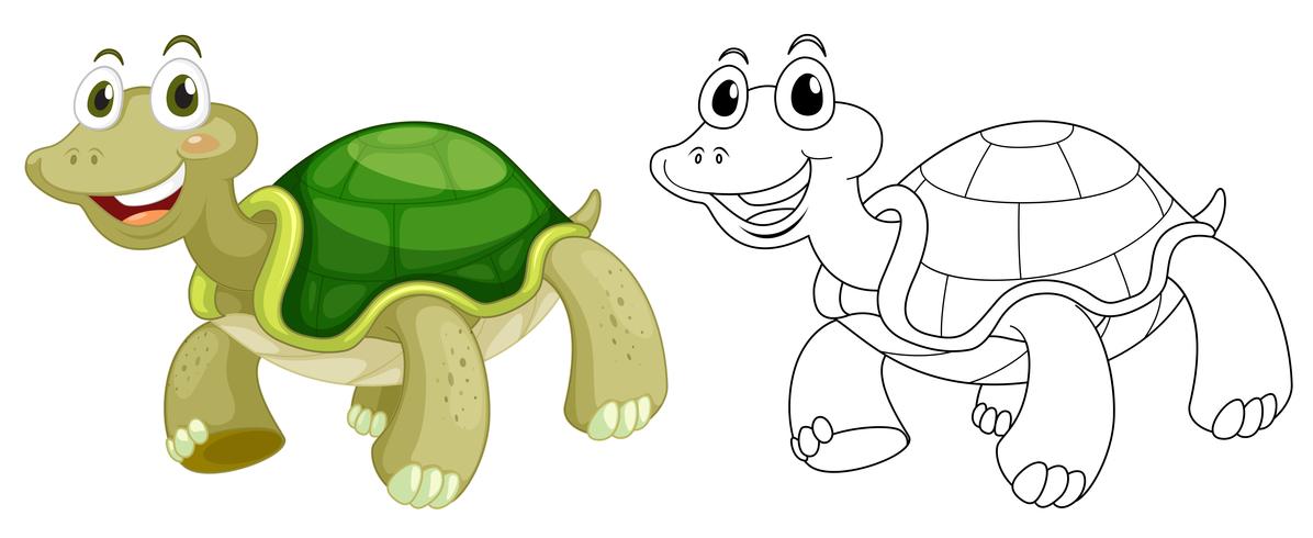 Profilo animale per tartaruga carina vettore