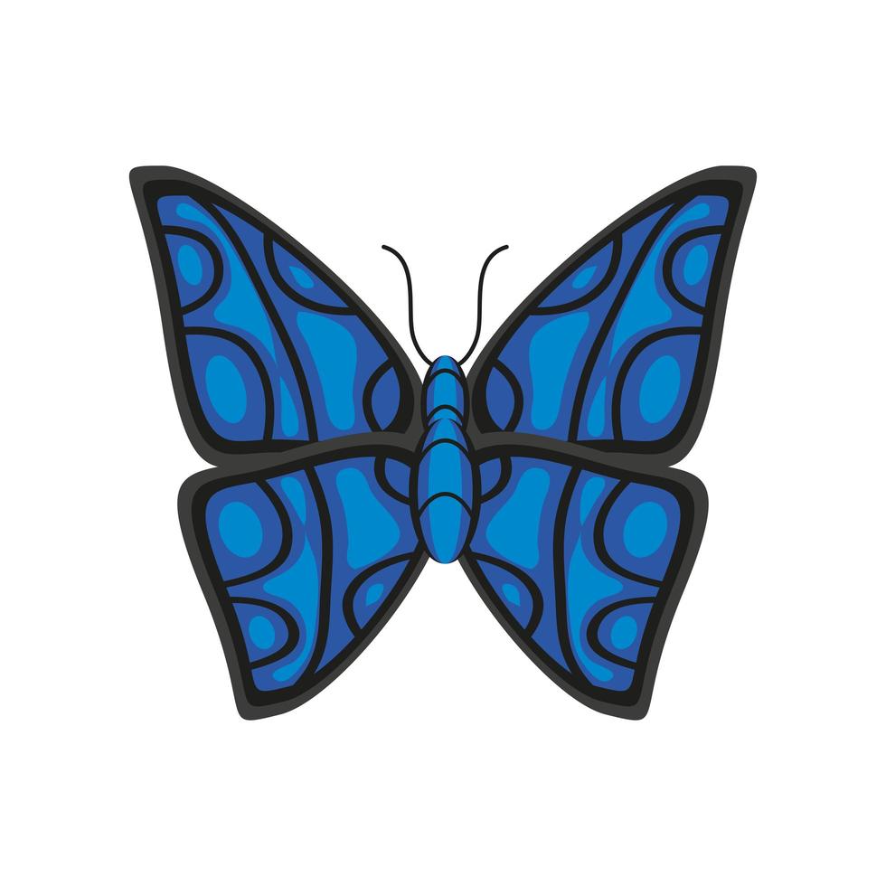 decorazione farfalla blu vettore