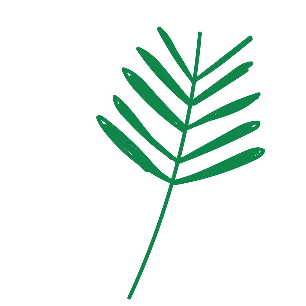 il ramo lascia il design dell'icona dell'ecologia organica della natura vettore