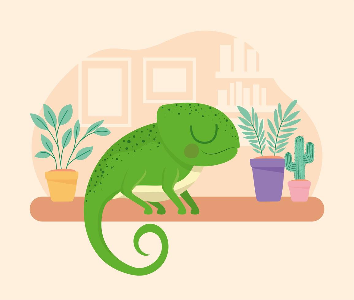 bella rappresentazione dell'iguana vettore