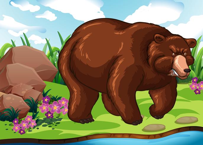 Orso grizzly in piedi vicino al fiume vettore
