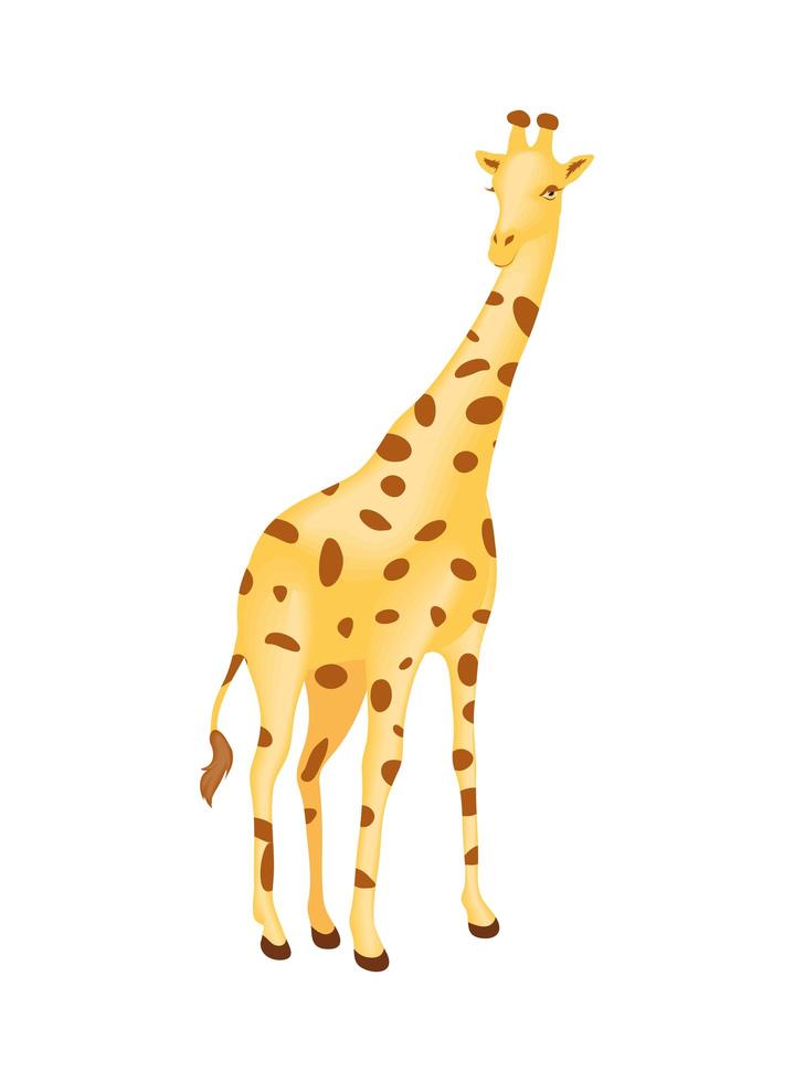 simpatico cartone animato giraffa vettore