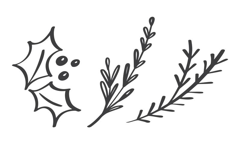 Gli elementi decorativi del ramo di Natale progettano le foglie floreali nello stile scandinavo. Illustrazione vettoriale handdraw per biglietto di auguri di Natale