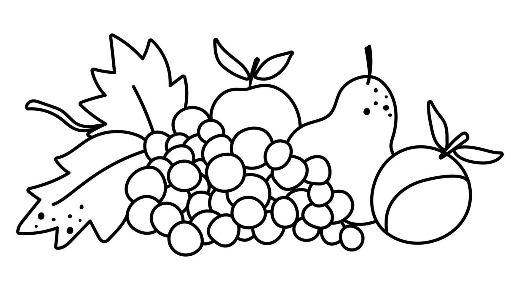 vettore disposizione di frutta in bianco e nero. set orizzontale carino contorno con mele, pere, uva. clipart di composizione del giardino autunnale. icona della linea di raccolta stagione autunnale isolato su priorità bassa bianca.