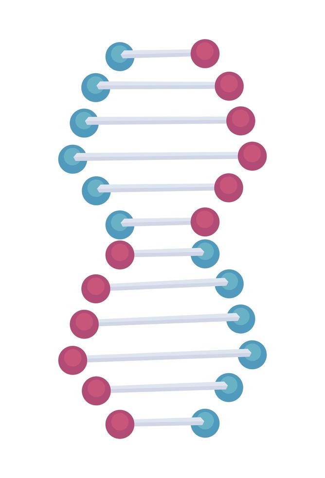 struttura della molecola del DNA vettore