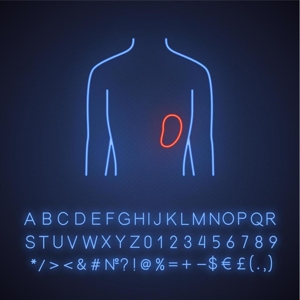 icona della luce al neon della milza sana. organo umano in buona salute. sistema linfatico funzionante. sano sistema immunitario. segno luminoso con alfabeto, numeri e simboli. illustrazione vettoriale isolato