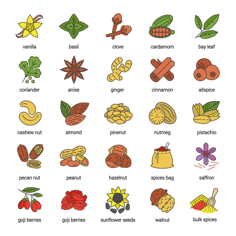 set di icone di colore delle spezie. aromi, condimenti. arachidi, vaniglia, cardamomo, anice, pimento. illustrazioni vettoriali isolate