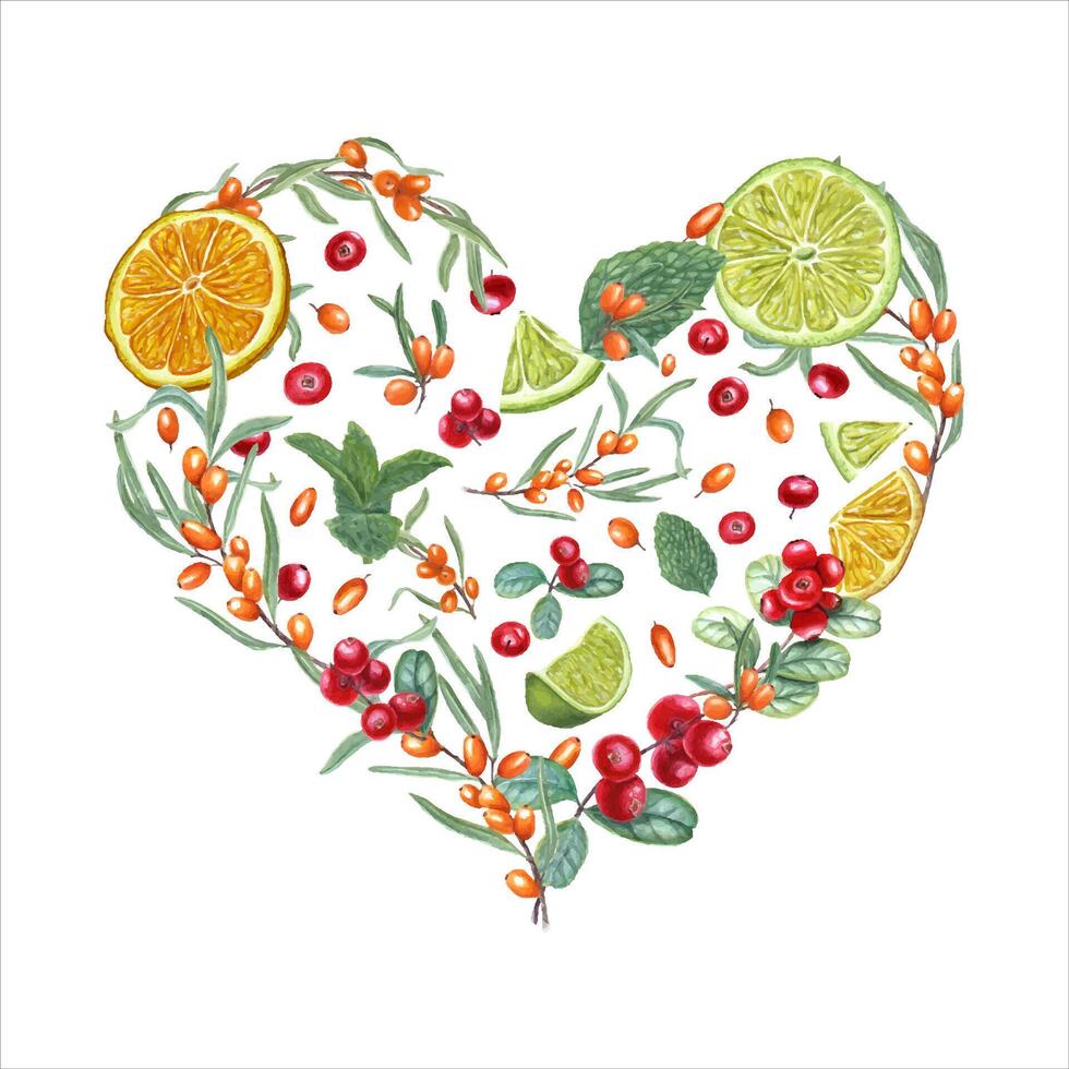 succoso frutta, frutti di bosco di cui su nel il forma di cuore. arancia, lime, uva di monte, mare olivello spinoso, menta vettore
