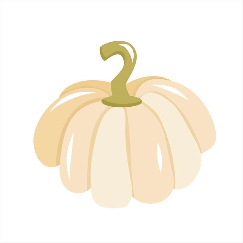 zucca bianca pattison halloween è isolato su uno sfondo bianco. illustrazione vettoriale in stile cartone animato. zucca, pattison per decorare gli inviti per le vacanze di halloween.