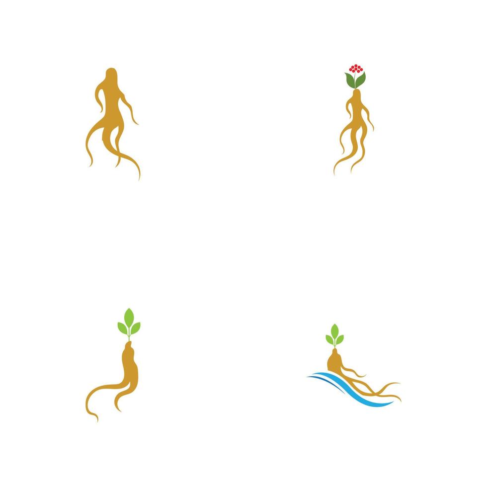 set di modello di progettazione dell'illustrazione del logo del ginseng vettore