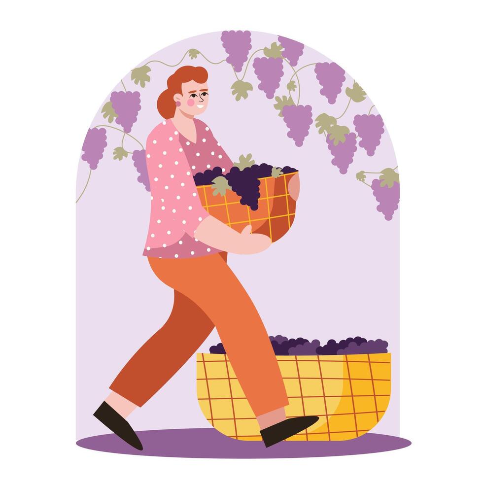signora trasportare cestino con frutti di bosco. vinificazione processi con naturale uva vettore