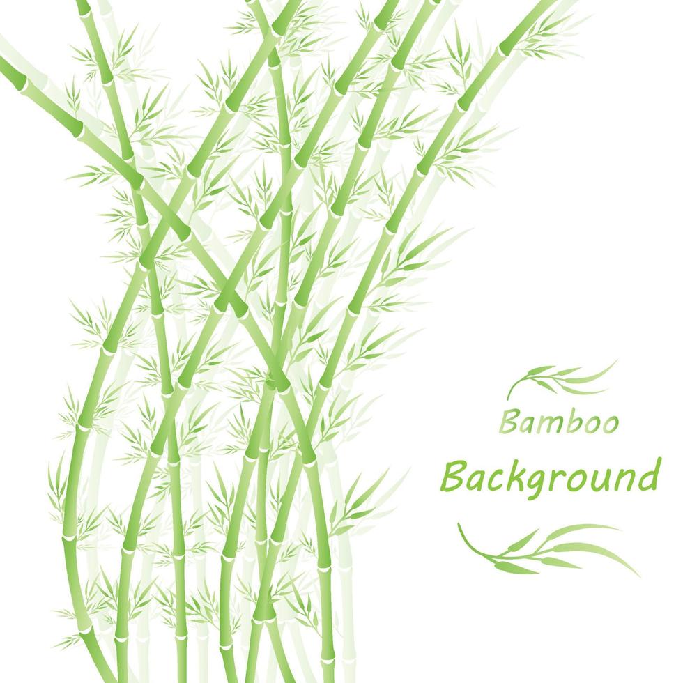 foresta di bambù sfondo cinese o giapponese silhouette verde art design vettore