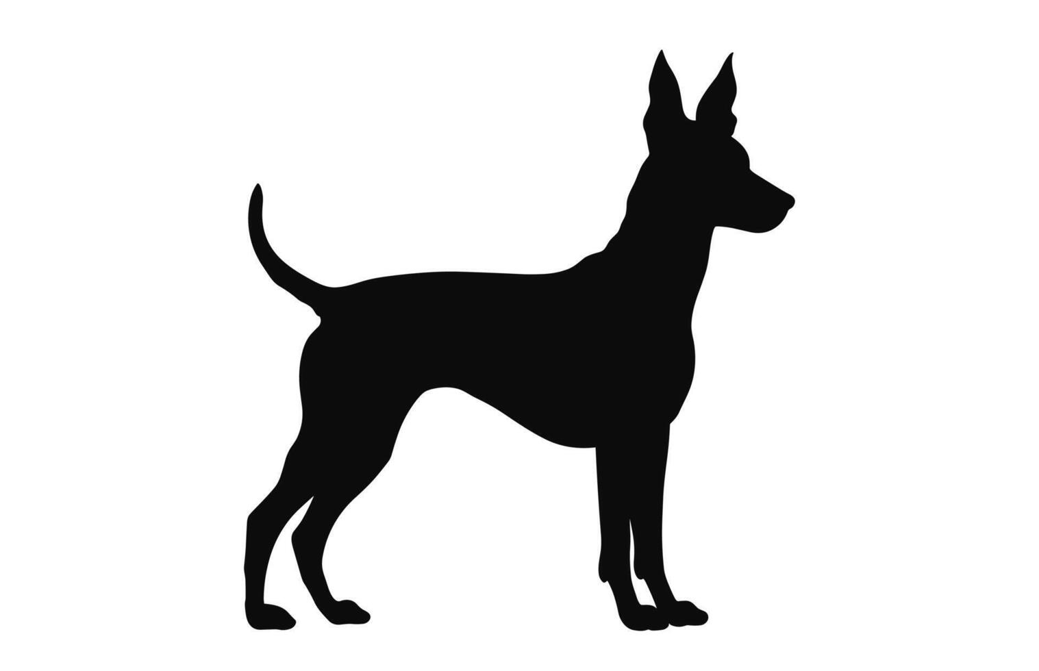 portoghese podengo cane nero silhouette vettore isolato su un' bianca sfondo