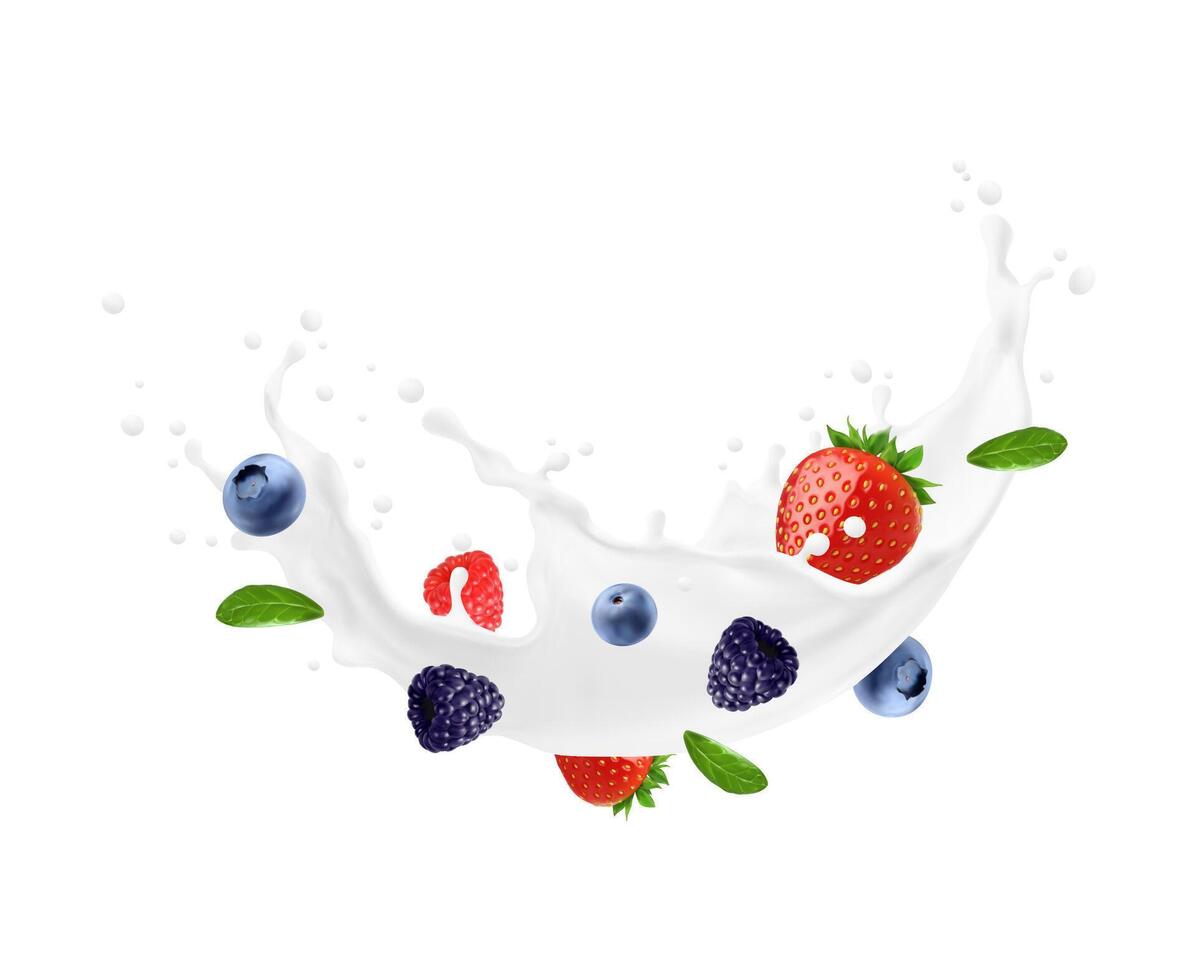 Yogurt bevanda o latte onda spruzzata, frutti di bosco, gocce vettore