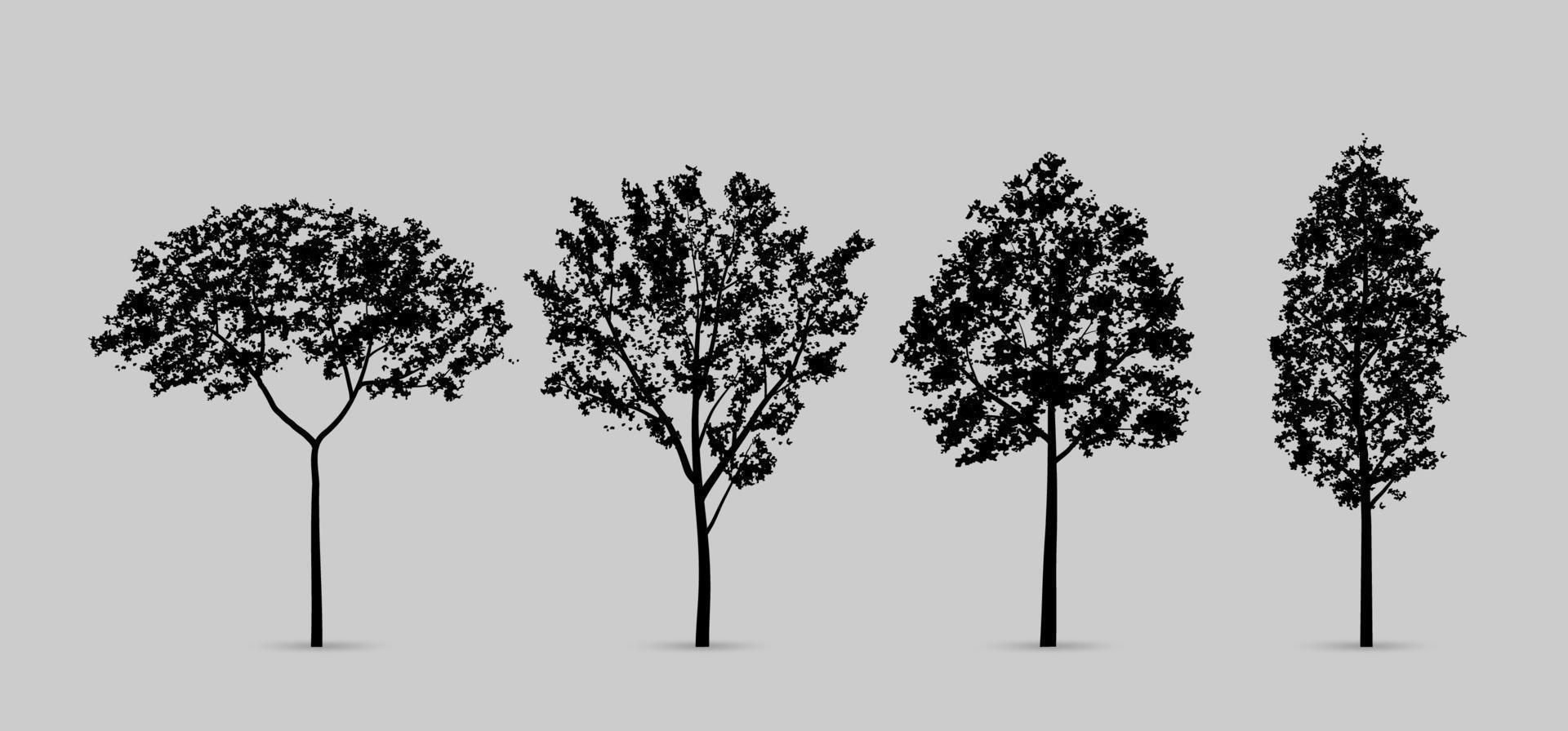 set di sagome di alberi isolati su sfondo bianco per la progettazione del paesaggio e composizioni architettoniche con sfondi. vettore. vettore