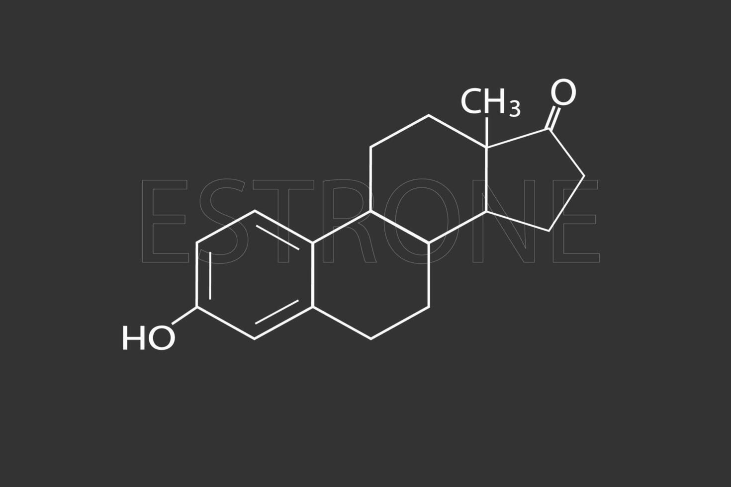 estrone molecolare scheletrico chimico formula vettore