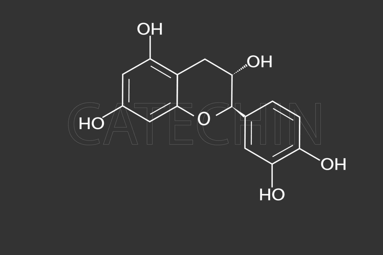 catechina molecolare scheletrico chimico formula vettore