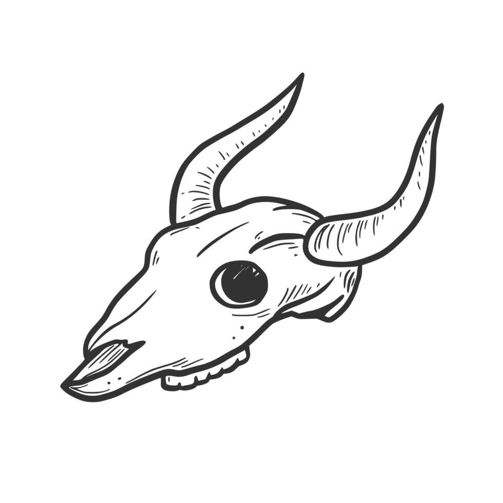 mano disegnato mucca, Toro cranio elemento vettore
