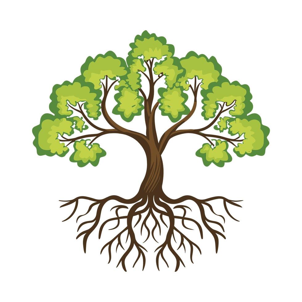 albero con radici vettore illustrazione