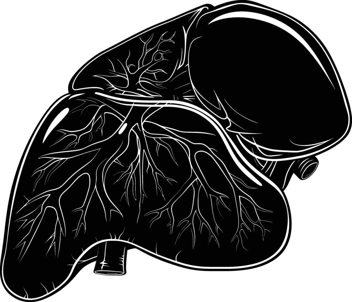 ai generato silhouette per interno organi di il fegato nero colore solo vettore