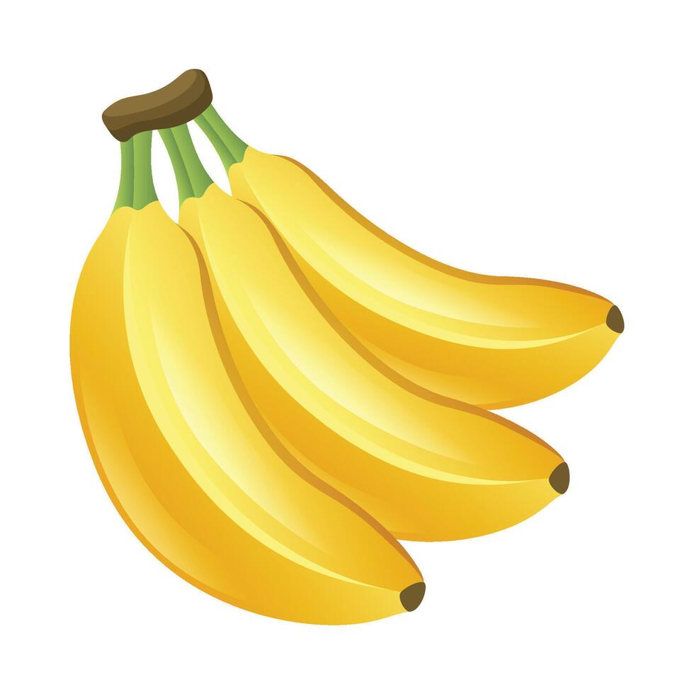 Banana frutta icona design. fresco frutta vettore