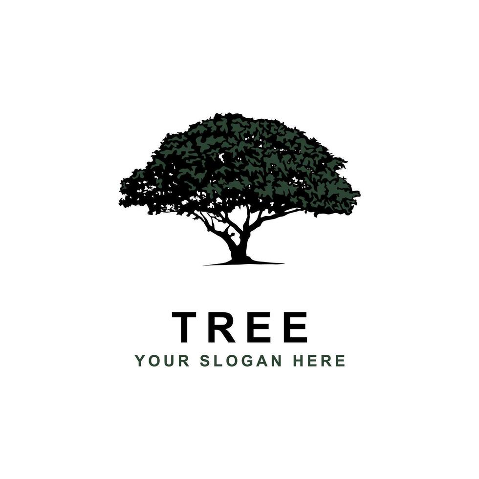 quercia albero vettore logo modello. vettore silhouette di un' albero illustrazione.