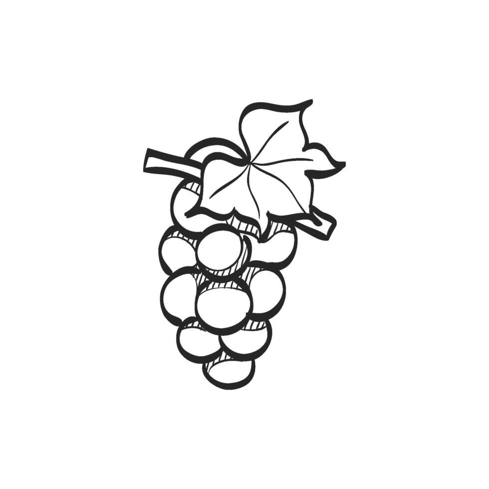 mano disegnato schizzo icona uva vettore