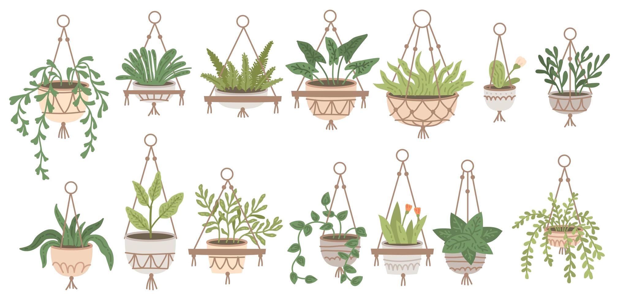 set di piante in vasi sospesi e vasi su supporti. giungla domestica vettore