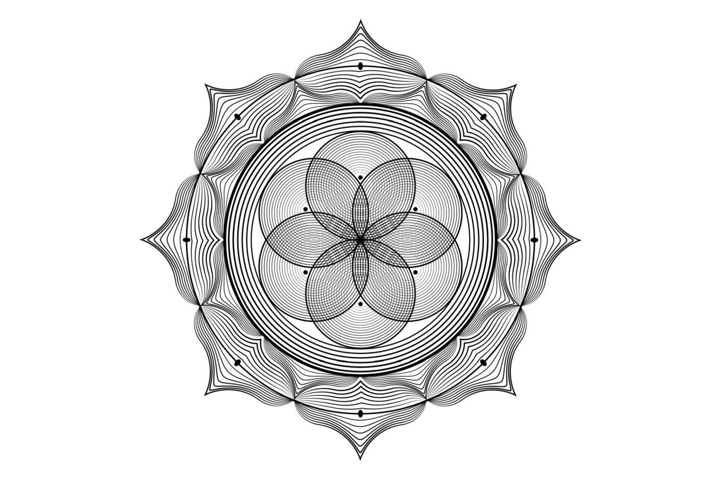 sacro loto yantra mandala, mistico fiore di vita. sacro geometria, vettore logo grafico elemento isolato. mistico icona seme di vita, geometrico disegno cartello, esoterico loto fiore su bianca sfondo