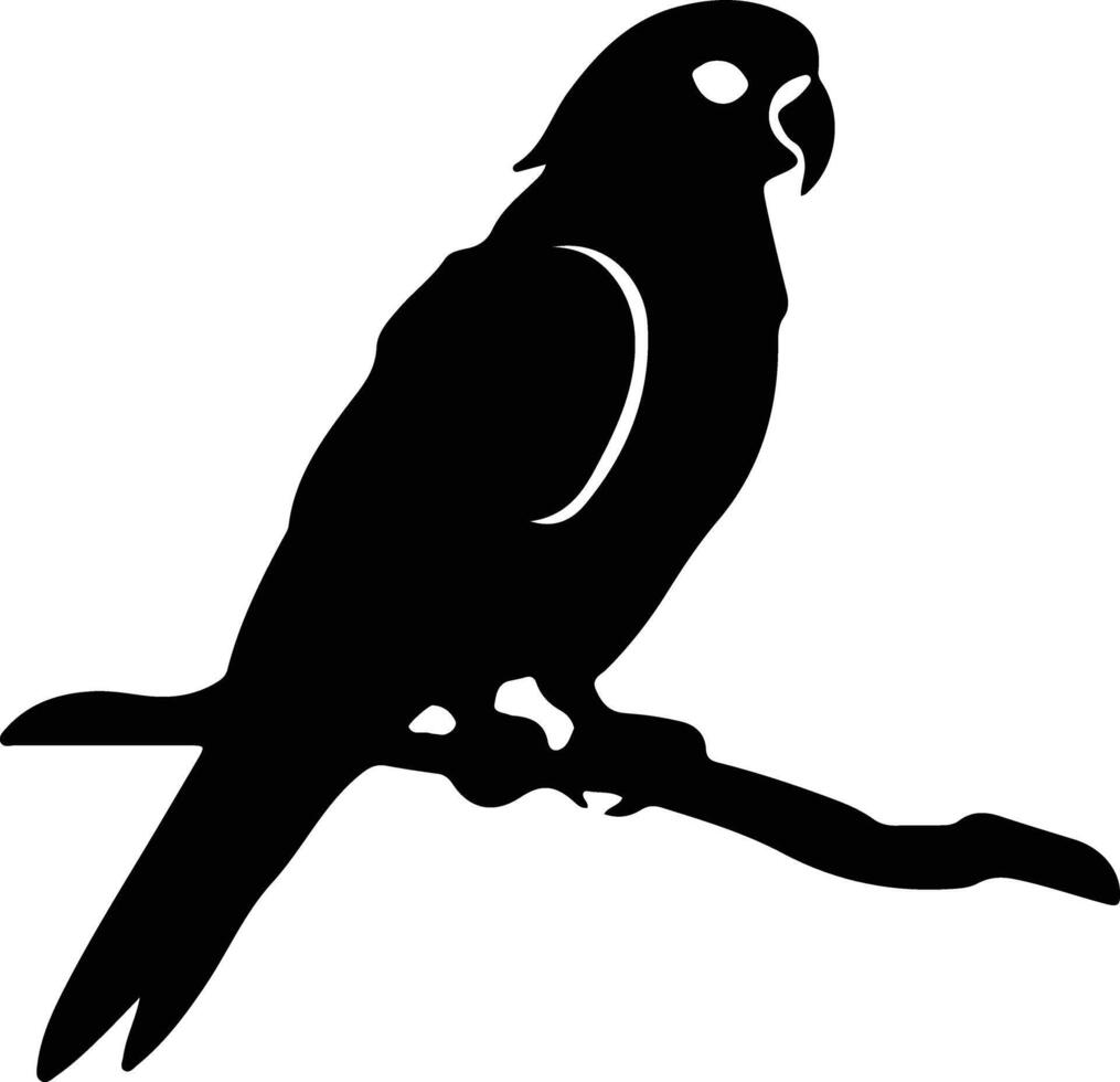 africangrayparrot nero silhouette vettore