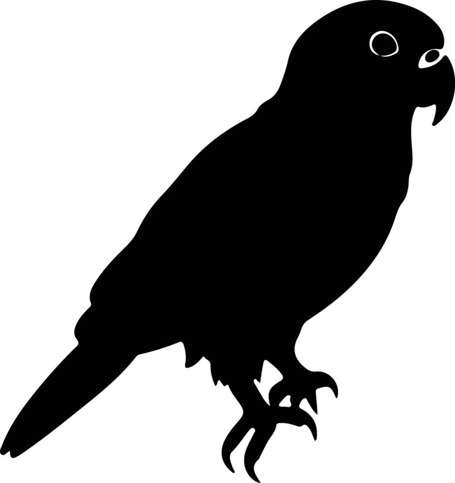 africangrayparrot nero silhouette vettore