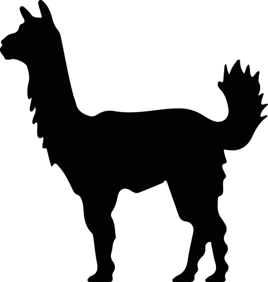 alpaca nero silhouette vettore