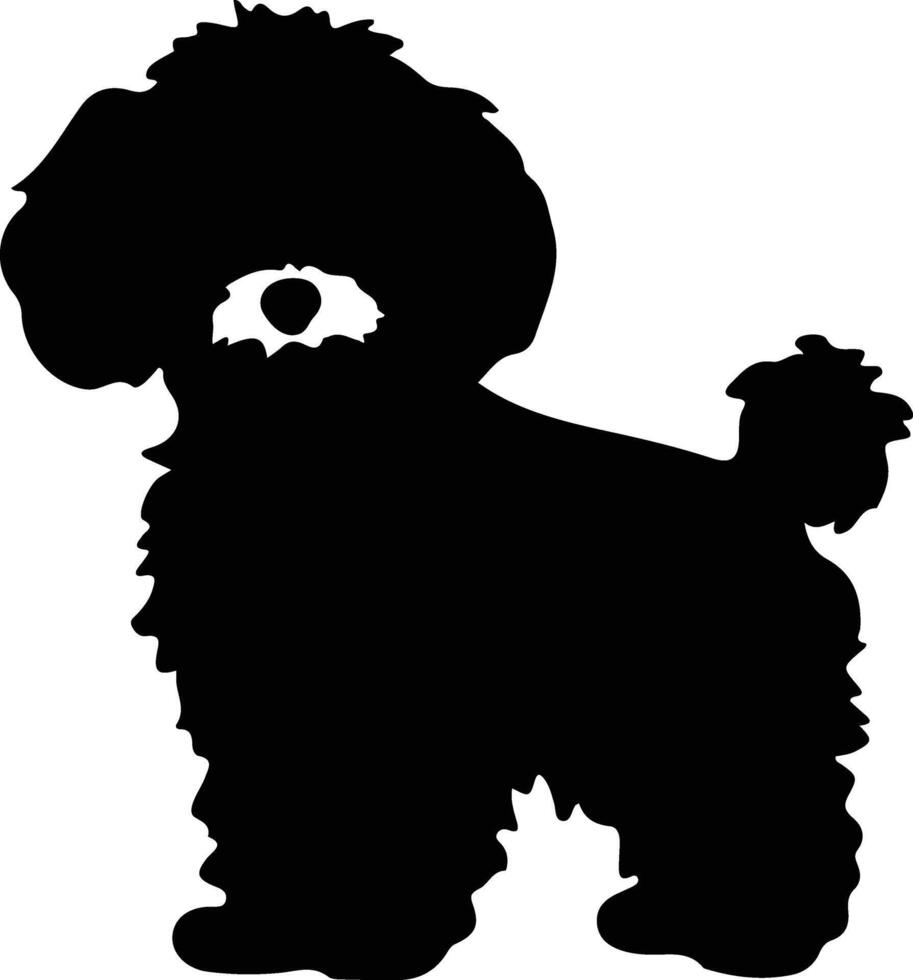 bichonfrise nero silhouette vettore