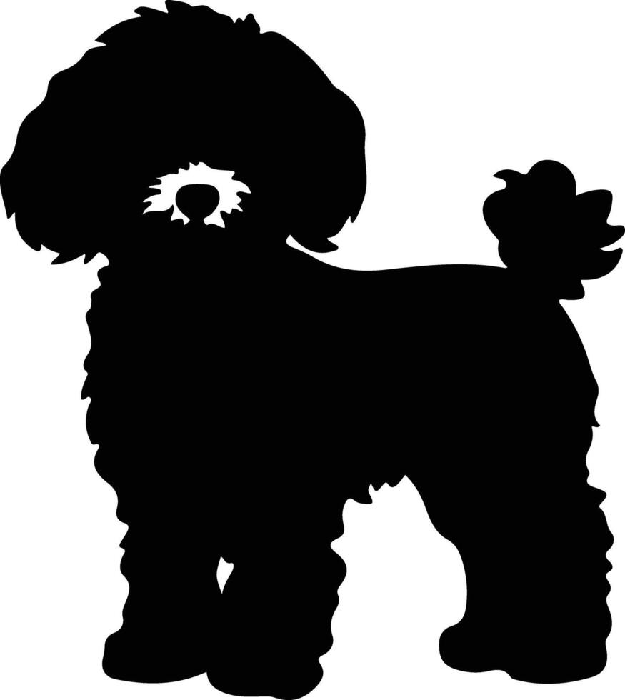 bichonfrise nero silhouette vettore