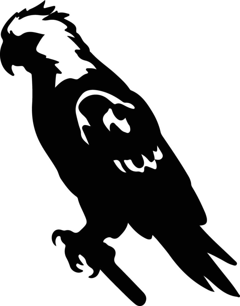 cacatua nero silhouette vettore