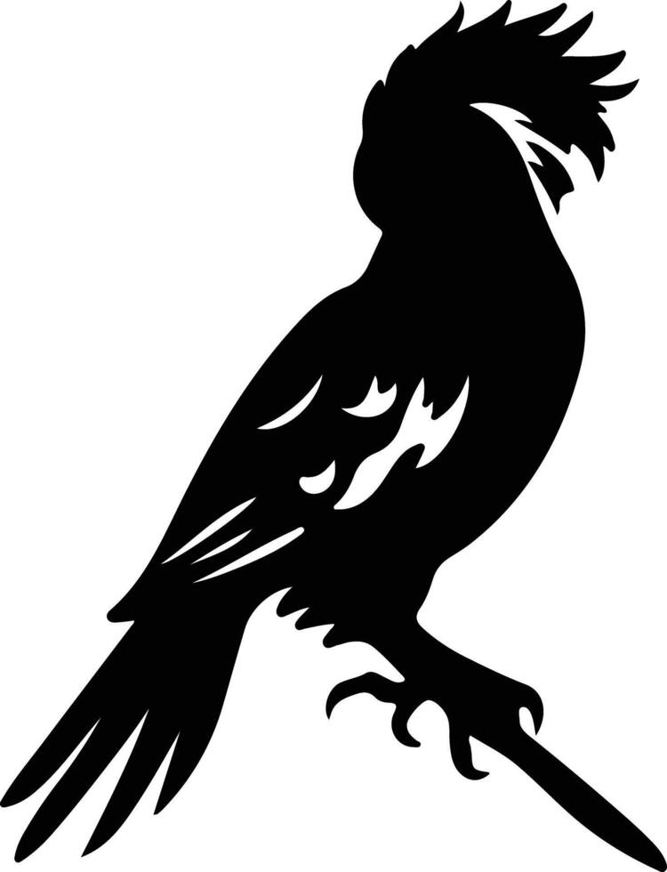 cacatua nero silhouette vettore