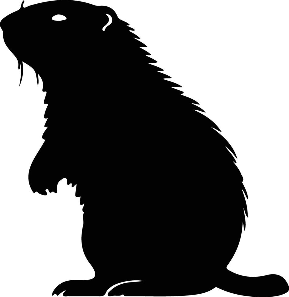 marmotta nero silhouette vettore