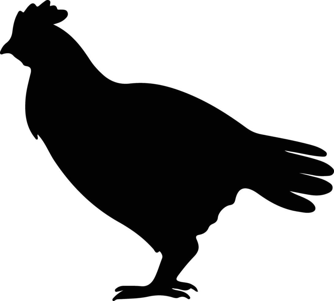 gallo cedrone nero silhouette vettore