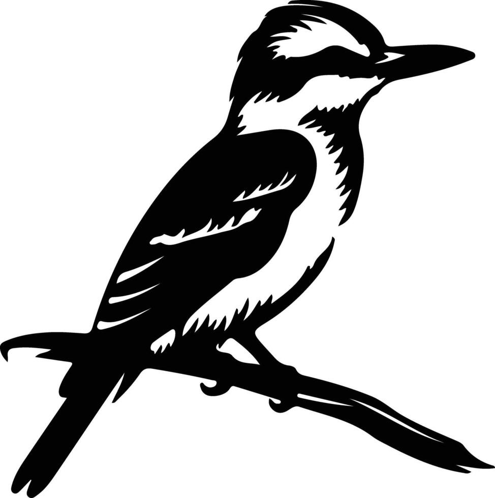 kookaburra nero silhouette vettore