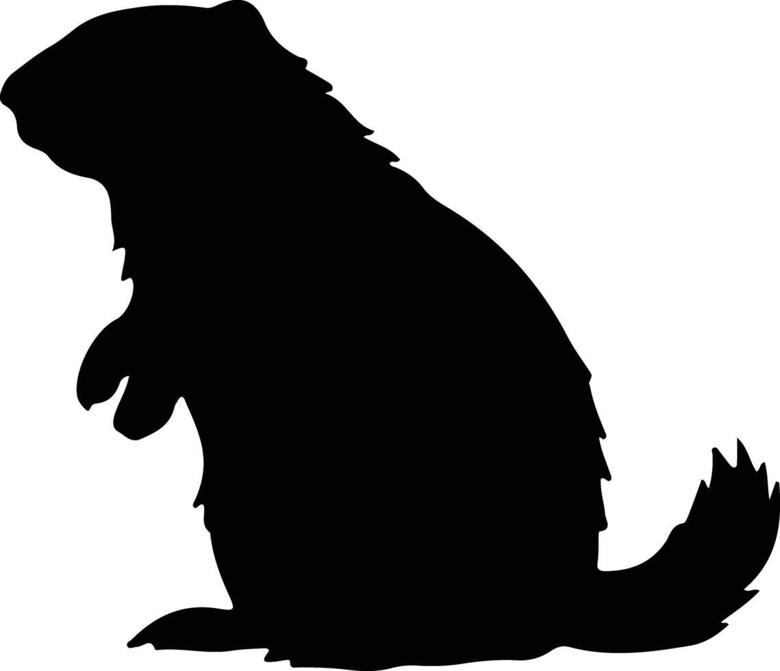 marmotta nero silhouette vettore