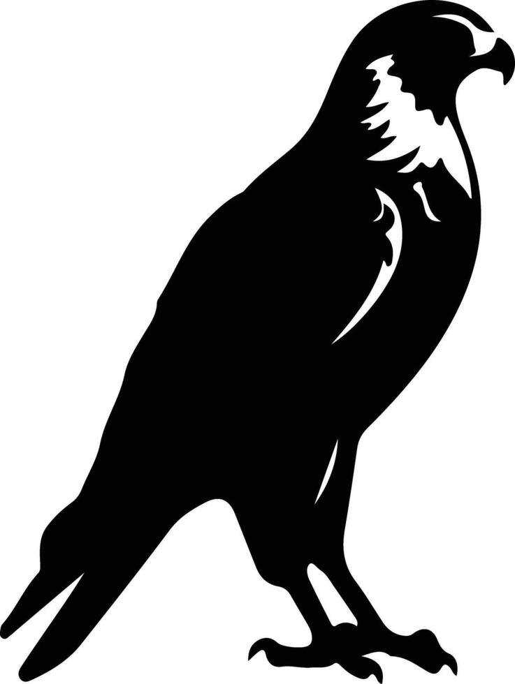 coda rossa falco nero silhouette vettore