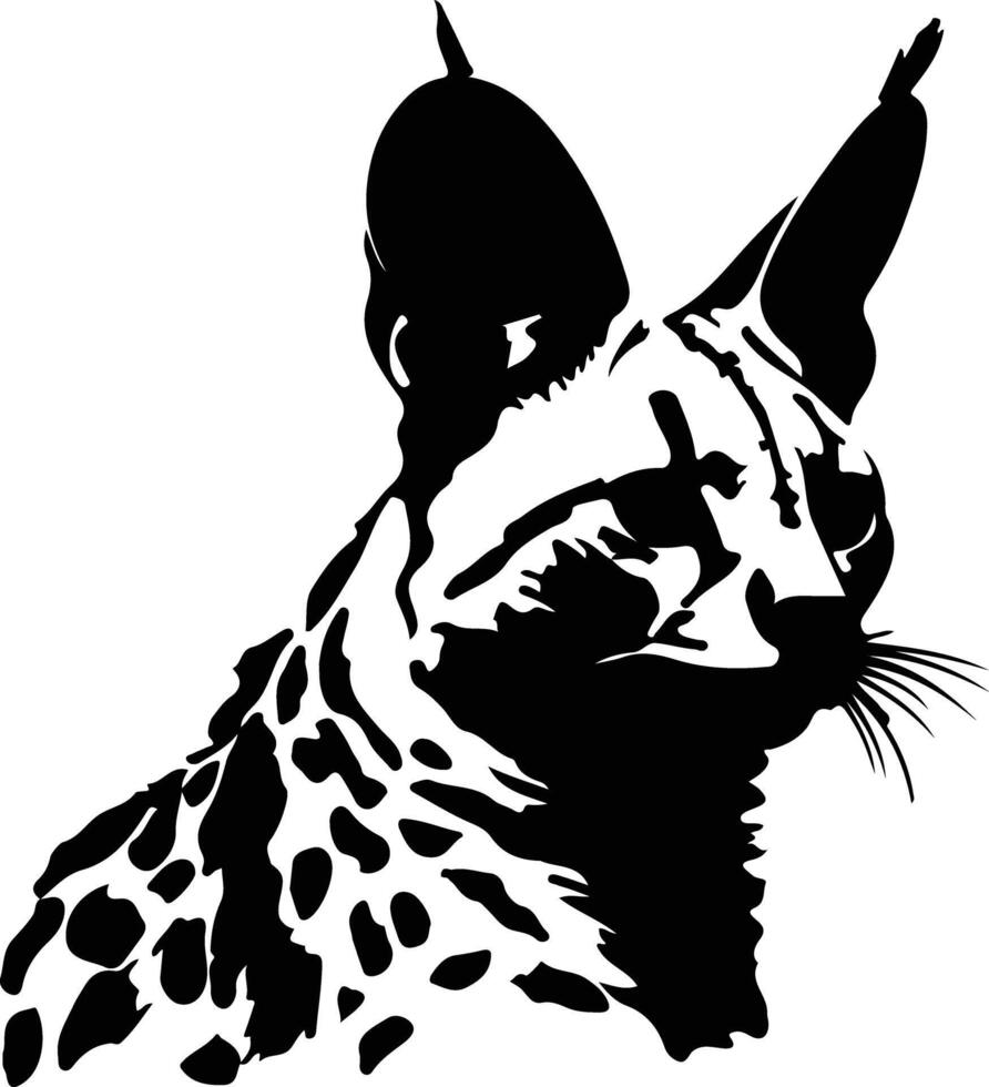 gattopardo nero silhouette vettore