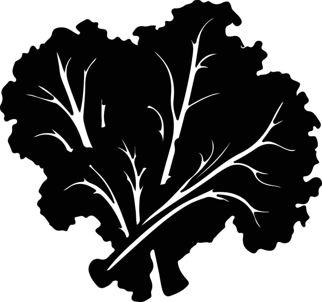 cavolo verdura nero silhouette vettore
