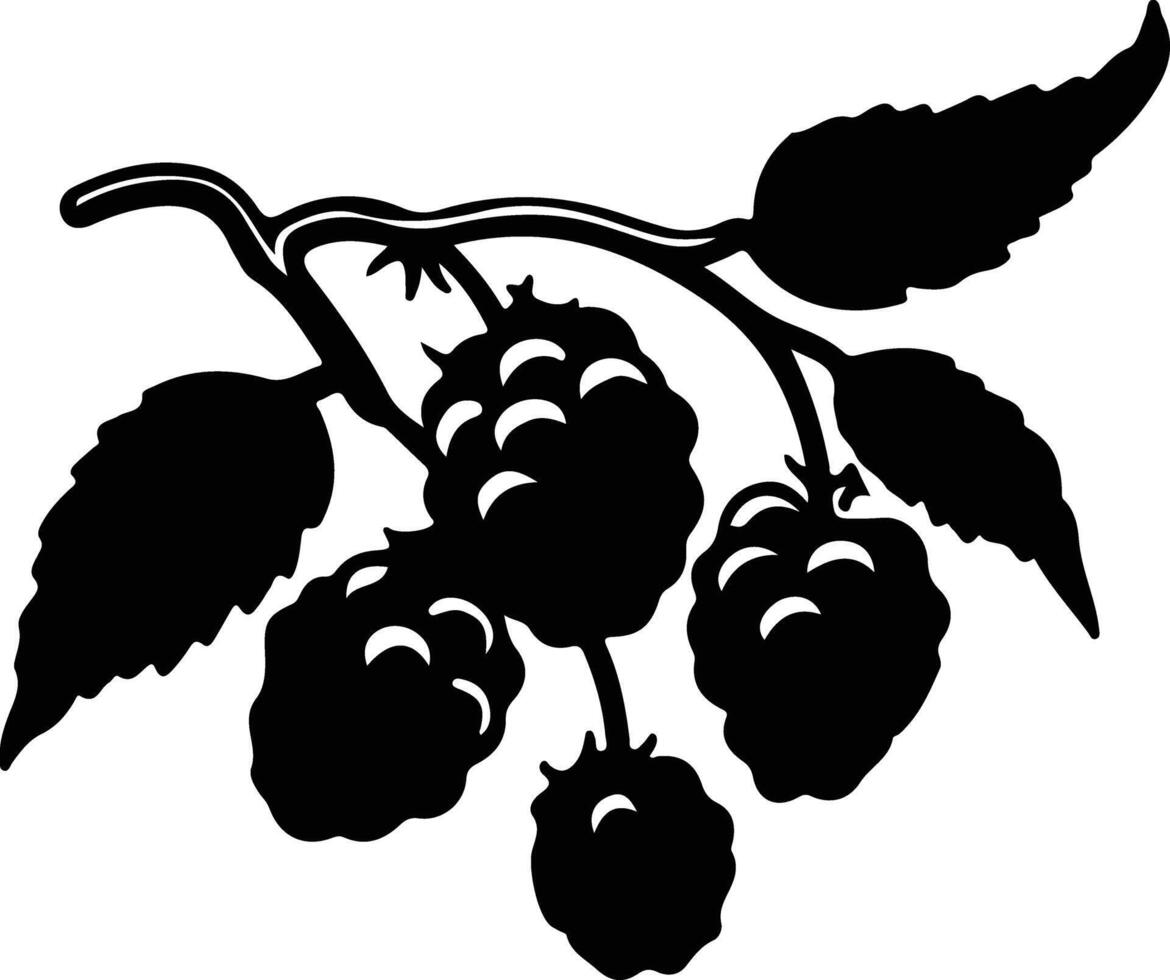 marionberry nero silhouette vettore