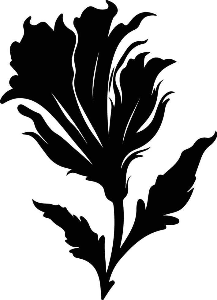 radicchio nero silhouette vettore