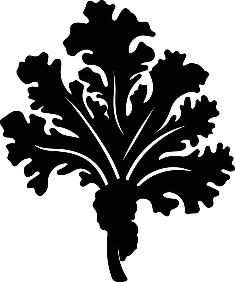 cavolo nero silhouette vettore