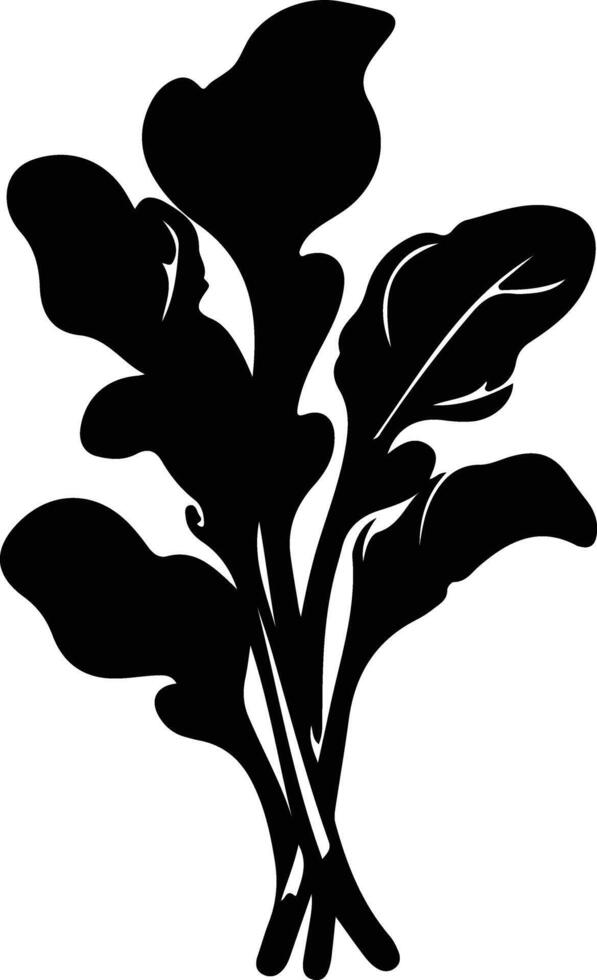 spinaci nero silhouette vettore