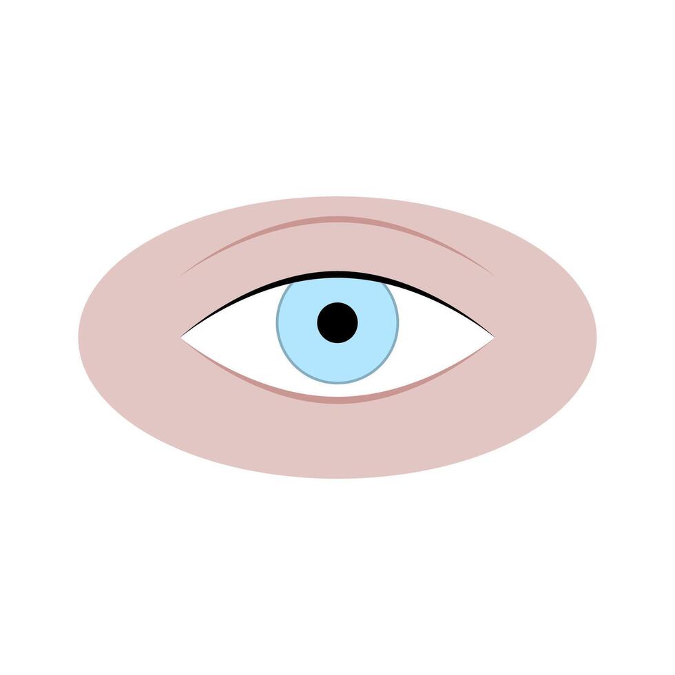 umano occhio isolato su bianca, occhio adulto attraente, naturale bulbo oculare cornea, cura scienza o moda bellezza. vettore illustrazione