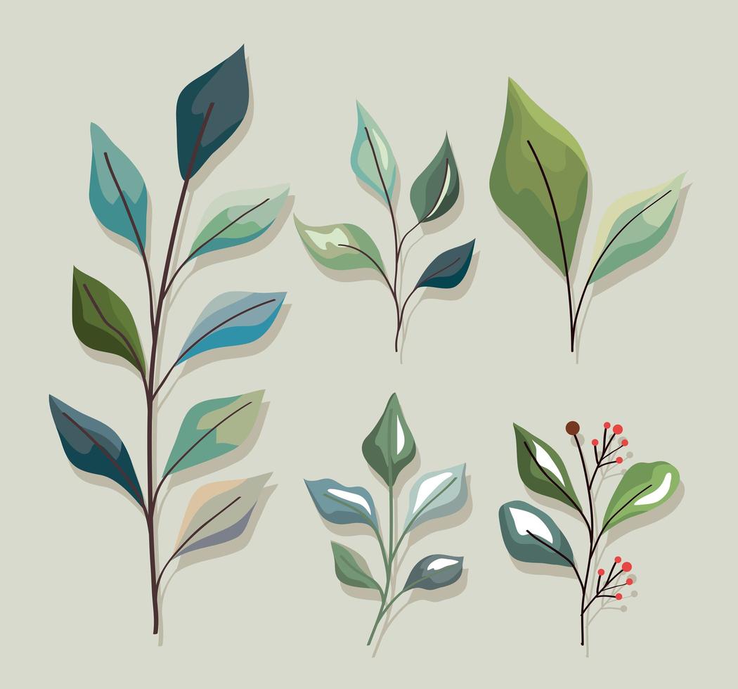 set di icone di foglie di piante vettore